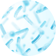 14種類の乳酸桿菌